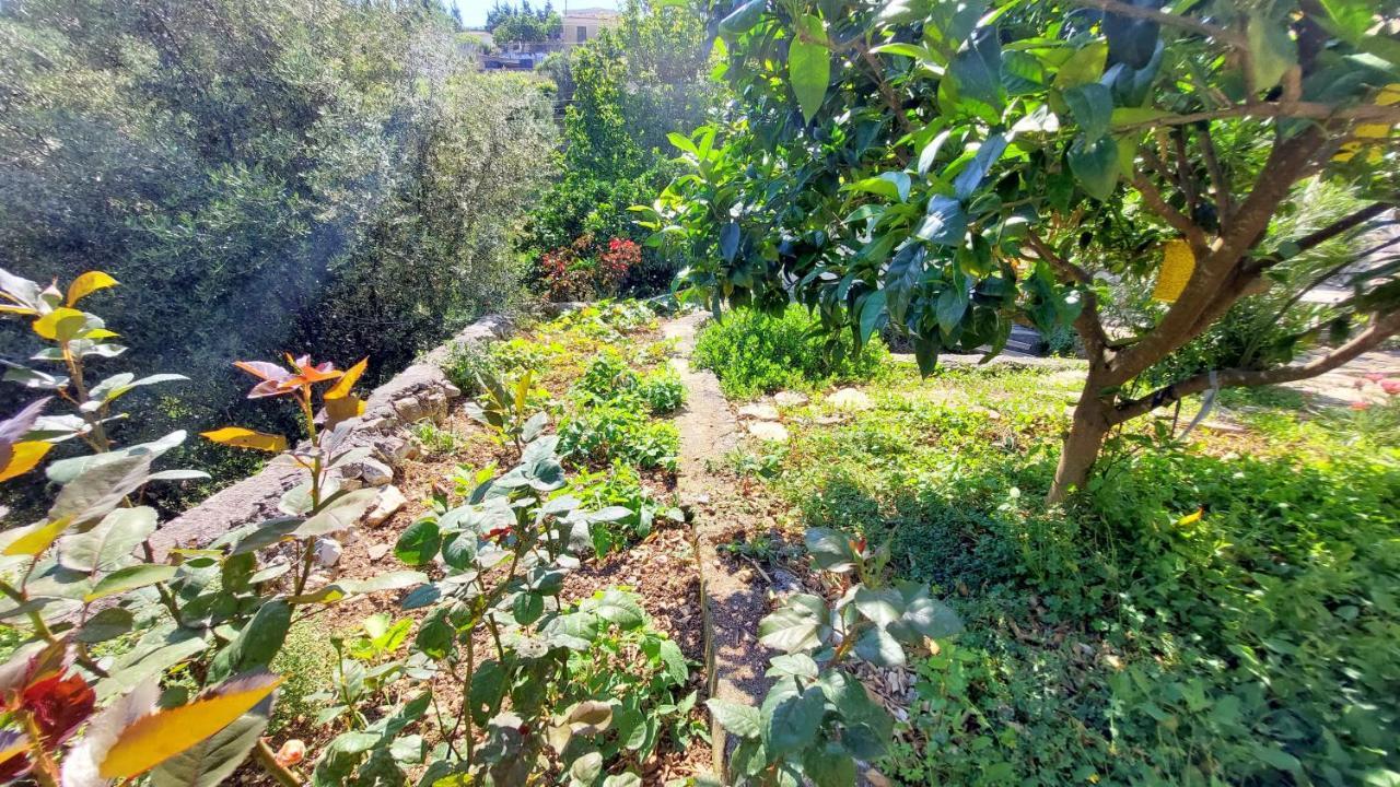 Euryclea Apartments Perachori Dış mekan fotoğraf